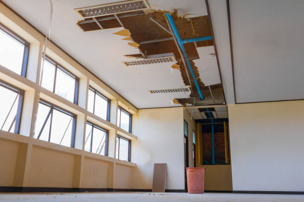 Best Basement water damage restoration  in Ives Estates, FL