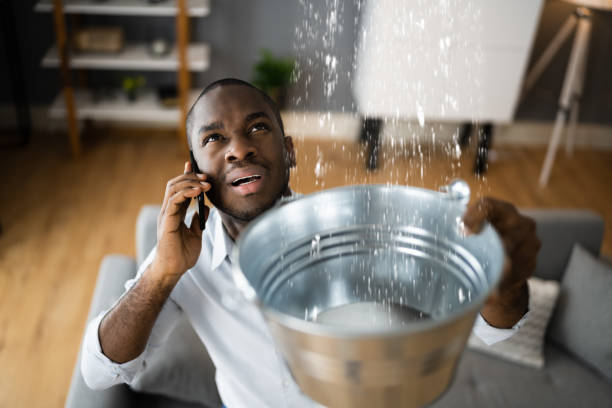 Best Commercial water damage restoration  in Ives Estates, FL