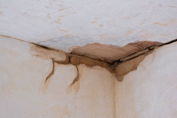 Best Residential water damage restoration  in Ives Estates, FL