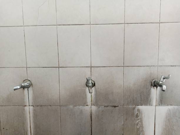 Best Water damage cleanup near me  in Ives Estates, FL