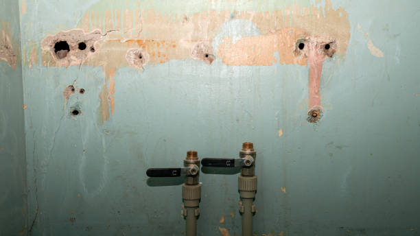 Best Ceiling water damage repair  in Ives Estates, FL