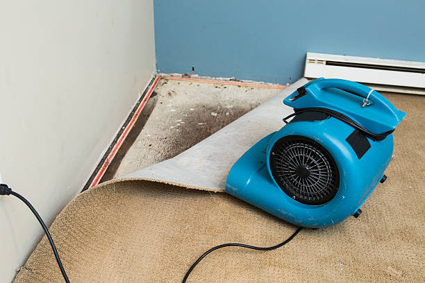 Best Flooded house restoration  in Ives Estates, FL